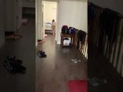 Hi